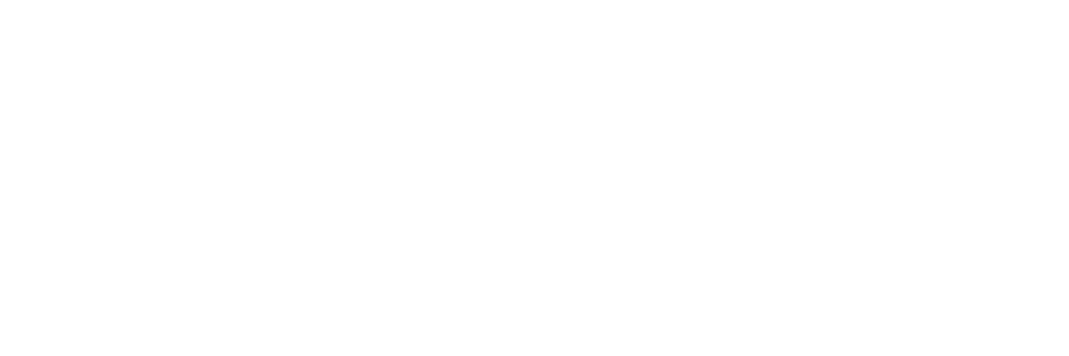 hans-neumaier.de